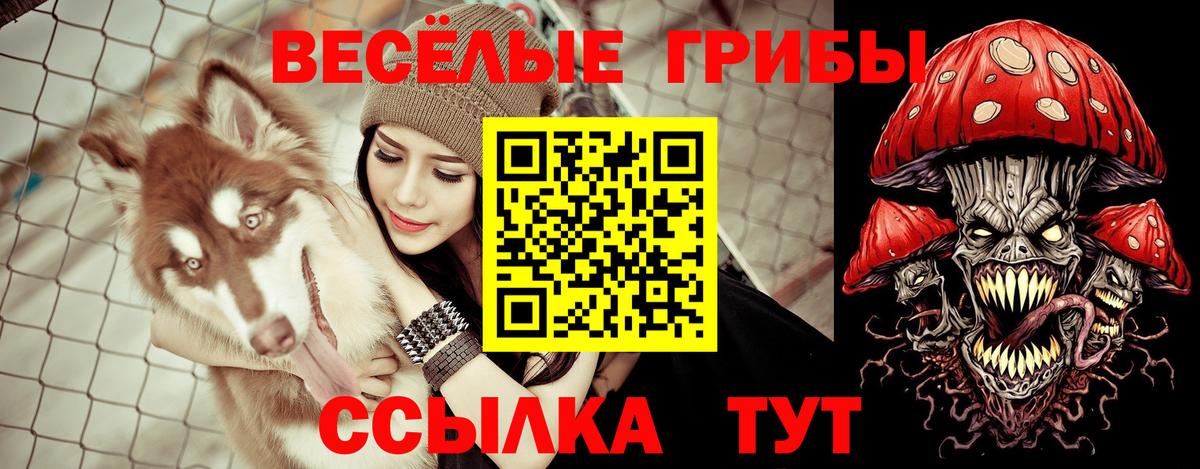 что такое   Вход с VPN  Тобольск  Псилоцибиновые грибы Psilocybine cubensis 