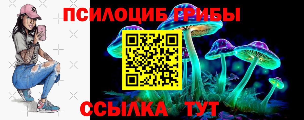 Псилоцибиновые грибы Cubensis Тобольск